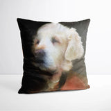 Ludwig - Custom Royal Pet Portrait Cushion