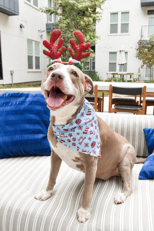 Feliz Navidog Pet Bandanas