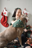 Hooked On The Holidays Pet Bandanas