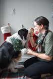 Hooked On The Holidays Headbands & Scrunchies