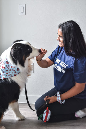 Feliz Navidog - Hands Free Dog Poop Bag Holder