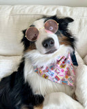 Groovy 'n Furout Pet Bandanas