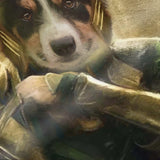 Loki