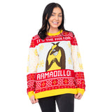 Friends Holiday Armadillo Sweater