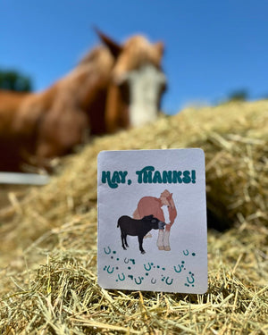 Hay, Thanks! 100% Tree Free Card | Thank You Card