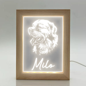 Illuminated LED Frame with Etched Pet Image