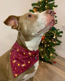 Hooked On The Holidays Pet Bandanas