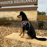 Fiesta Bandanas - Slip on and Snap-able Pet Bandanas