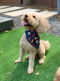 Fiesta Bandanas - Slip on and Snap-able Pet Bandanas