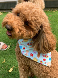 Fiesta Bandanas - Slip on and Snap-able Pet Bandanas