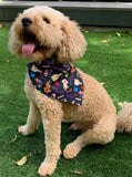 Fiesta Bandanas - Slip on and Snap-able Pet Bandanas