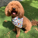 Fiesta Bandanas - Slip on and Snap-able Pet Bandanas