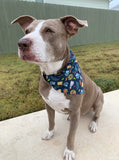 Taco Bout A Pawty - Slip on and Snap-able Pet Bandanas