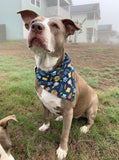 Taco Bout A Pawty - Slip on and Snap-able Pet Bandanas