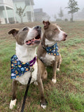 Taco Bout A Pawty - Slip on and Snap-able Pet Bandanas