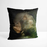 Jedi - Custom Pet Portrait Cushion