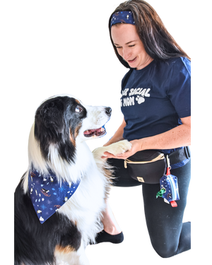 Pet Style Pro – Bandana, Poop Bag, and Treat Pouch (coming soon)