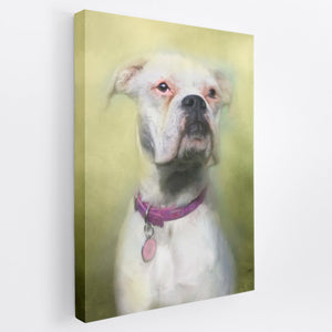 Traditional Yellow Hue - Custom Pet Portrait Canvas