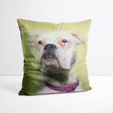 Vibrant Style - Custom Pet Portrait Cushion